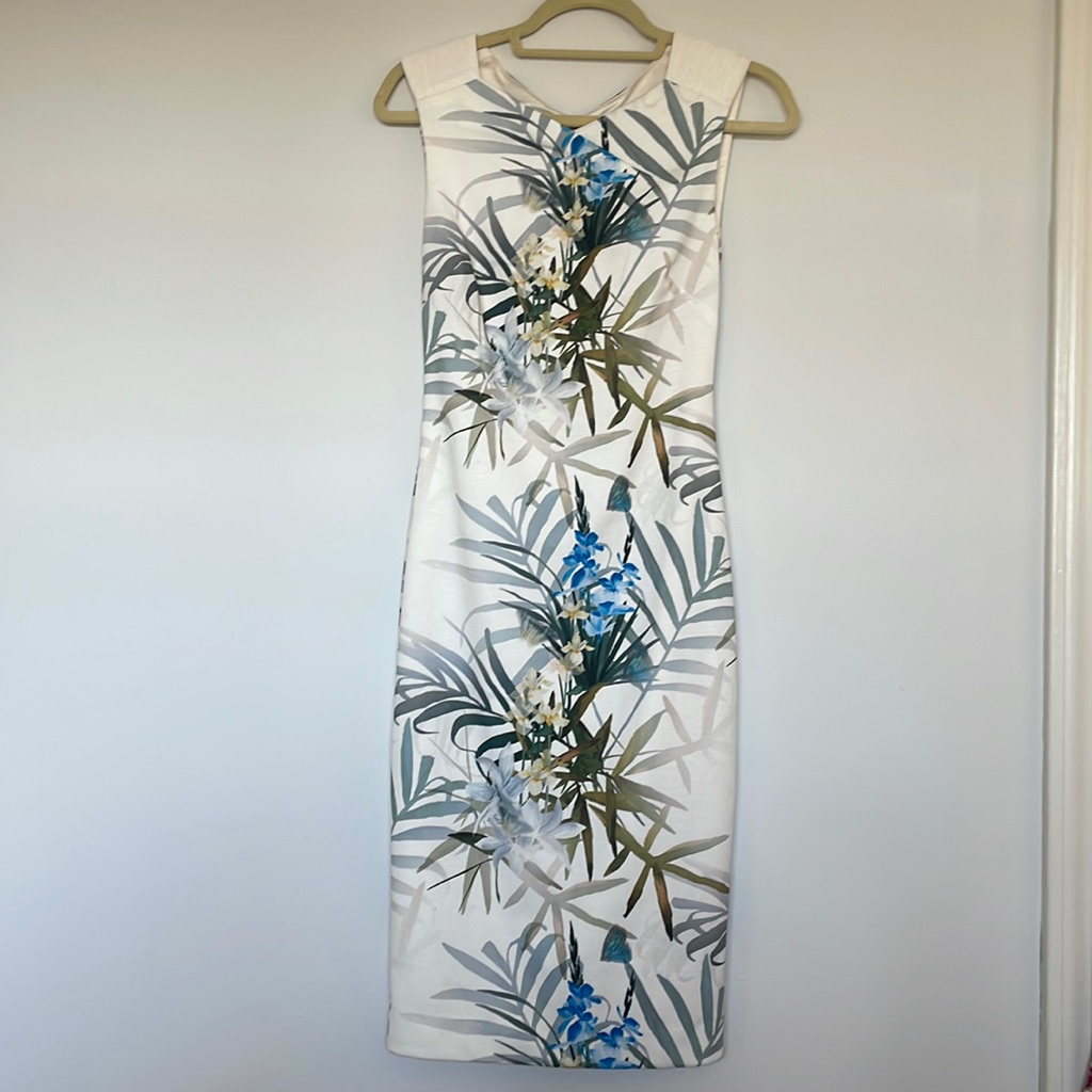 Ted Baker Dress Size 1 With Beautiful Pattern And Neckline. Perfect Condition